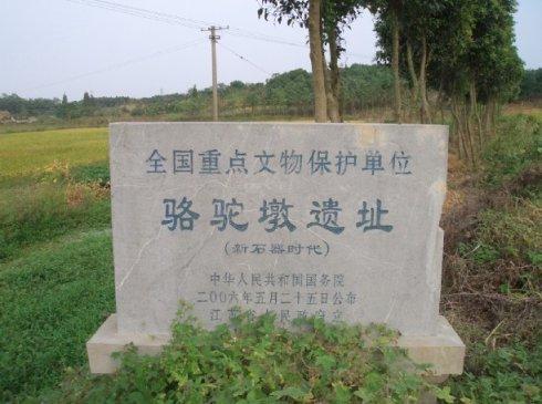 建议以宾顿顿的语气作为文明的小使节
