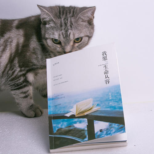 愿生活平静