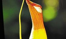 倾听秋天的心跳