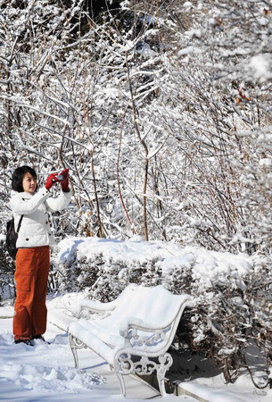 飞雪