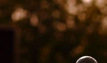 读《对一座岛的思念》有感