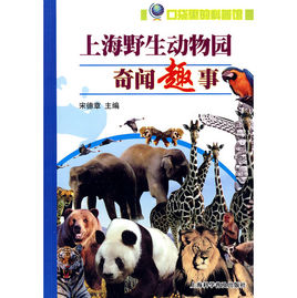 奇怪的人
