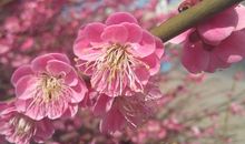 有一种爱叫“给予”