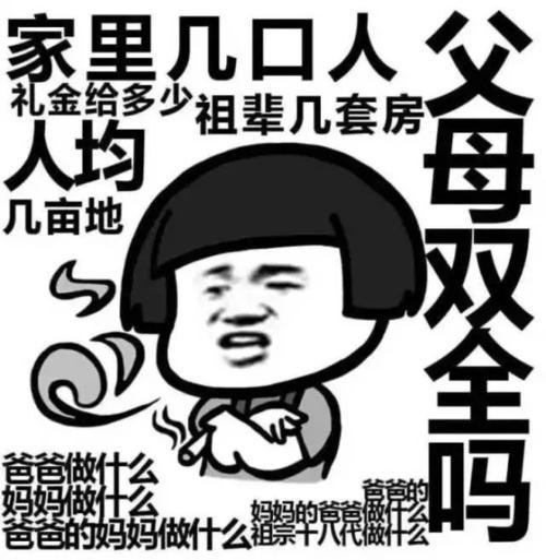 如果我有...