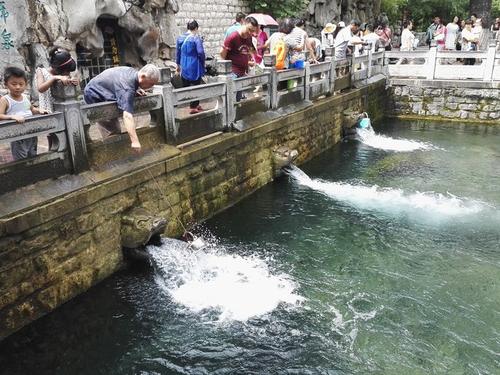 黑湖泉的夏天