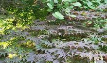 生活的芬芳让我感动