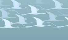 指尖划过时光静默