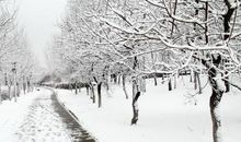 春天里的第一场雨