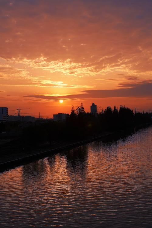 夕阳红