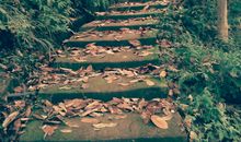 记忆中的那条路