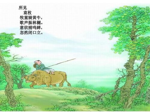 我的童年