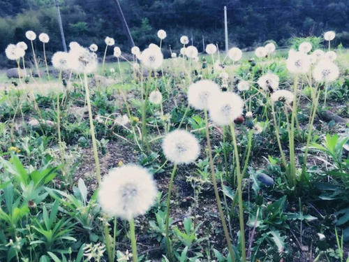 岁月的温暖