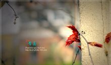 “爱”无处不在