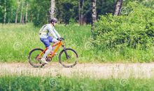 埋在时间深处的自行车