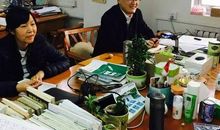 无私奉献的小草