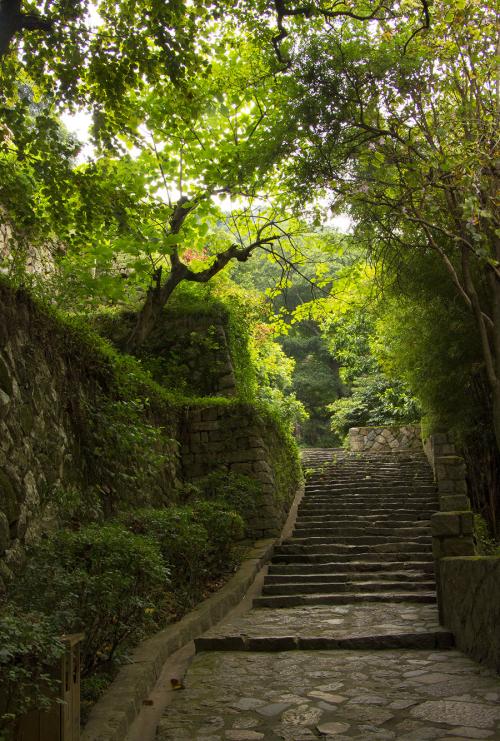 安静在山林间也是一种幸福