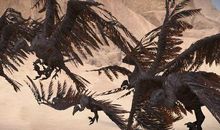 古墓羊军读后感