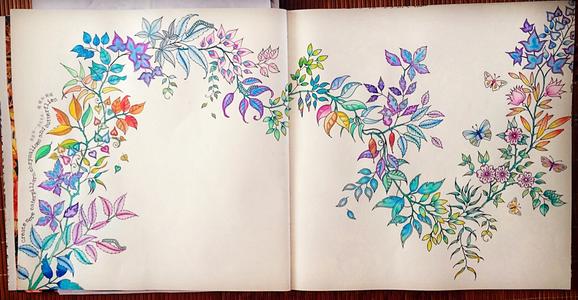 秘密花园总结