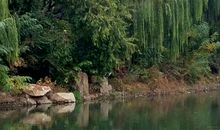 追忆逝去的时光