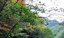 跨越省际的“水源桥”