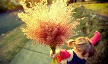 早起是一种享受