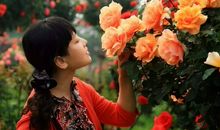 公园里的花请别摘