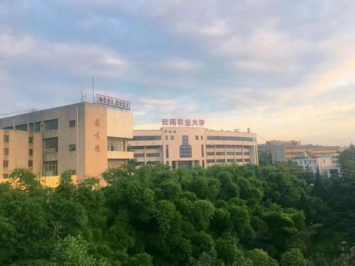 春季多彩农业学院