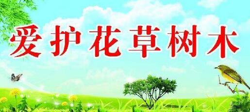 做一个热爱花草的人