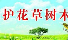 做一个爱护花草的人