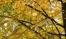 久违了乡村气息