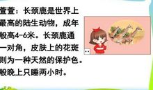 一次有意义的语文活动