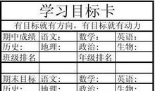 我的学习目标和计划