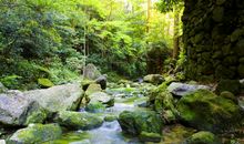 牵挂家乡的泉水