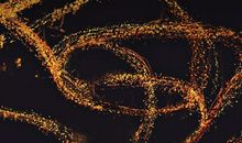 一个可以歇息的地方