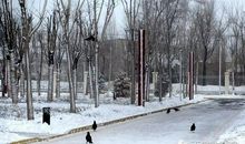 为她默默许个愿