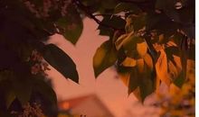 畅游书海不思归