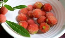 酸酸甜甜的寒假生活