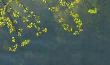 记忆深处的那一抹阳光