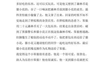 《笨狼旅行记》读后感