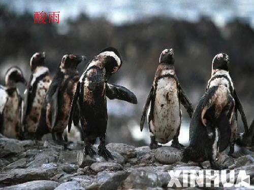 臭氧层离家出走