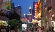 西溪湿地种树记