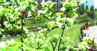 雨后的春天