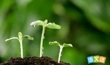 那抹绿色作文600字