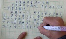我得到了什么作文400字小学生四年级