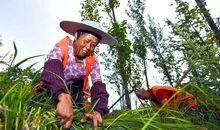 清除成长路上的杂草