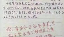 我得到了启示作文450字