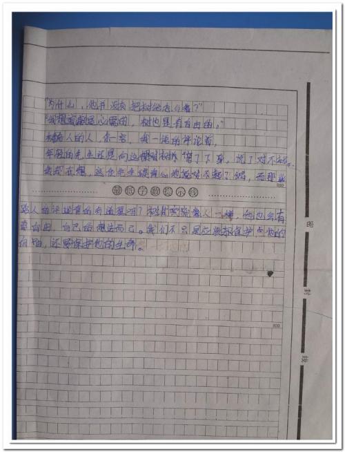 这个故事打动了我的心弦