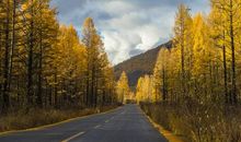 那一缕美丽的光