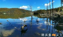 一个向往的地方