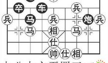 我家的后院作文400字